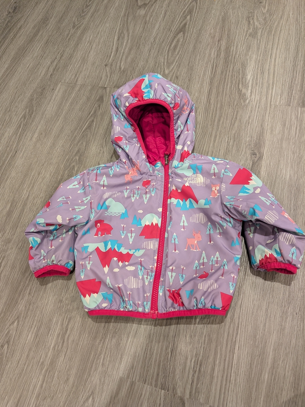 The North Face Kids' Purple Hooded Mountain Print Jacket